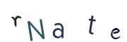 Billed-CAPTCHA